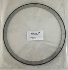 Dichtring