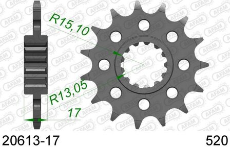 AFAM sprocket front 17T Honda CBR 600cc PC 40 (520 convers)