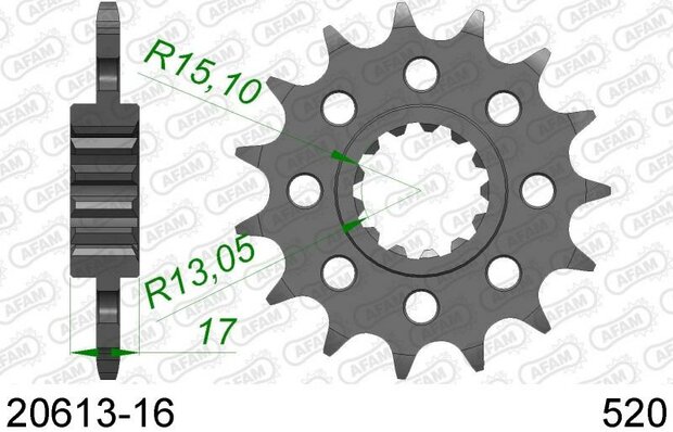 AFAM sprocket front 16T Honda CBR 600cc PC 40 (520 convers)